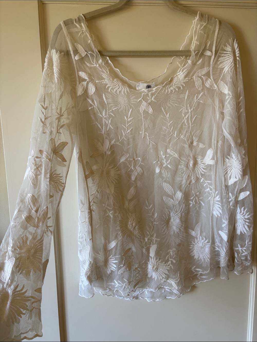 Sheer Embroidered Floral Long-Sleeve Top - Cream